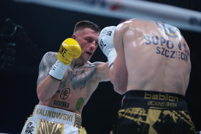 Kalinowski - Stępień