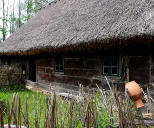 Wycieczka na długi weekend czerwcowy. Ta wieś blisko Warszawy to kierunek idealny