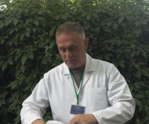 M jak miłość, Artur (Robert Moskwa)