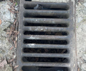 Kawka utknęła pod studzienką. Mieszkańcy i strażnicy ruszyli z pomocą