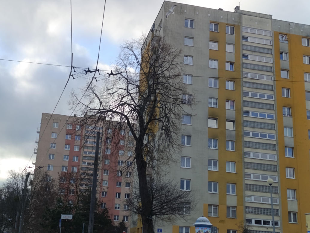 Gdynia. Ceny mieszkań w dzielnicach