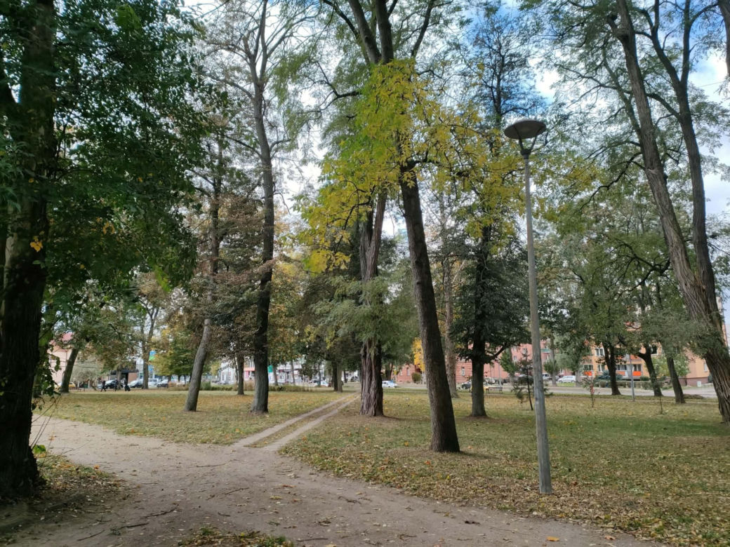 Blisko 12 milionów złotych na tereny zielone w Łomży. Zmiany zajdą na terenie Parków Ludowego, Jakuba Wagi i przy ulicy Katyńskiej
