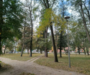 Blisko 12 milionów złotych na tereny zielone w Łomży. Zmiany zajdą na terenie Parków Ludowego, Jakuba Wagi i przy ulicy Katyńskiej
