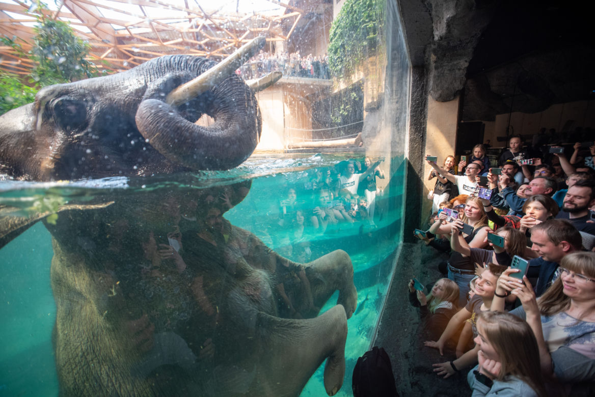 Zainteresowanie Łodzią wzrasta. Zobacz, co wzbudziło największe zainteresowanie wśród turystów