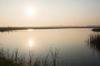 Karp z Przygodzic pod znakiem zapytania. Co zmieniło się w słynnej hodowli?