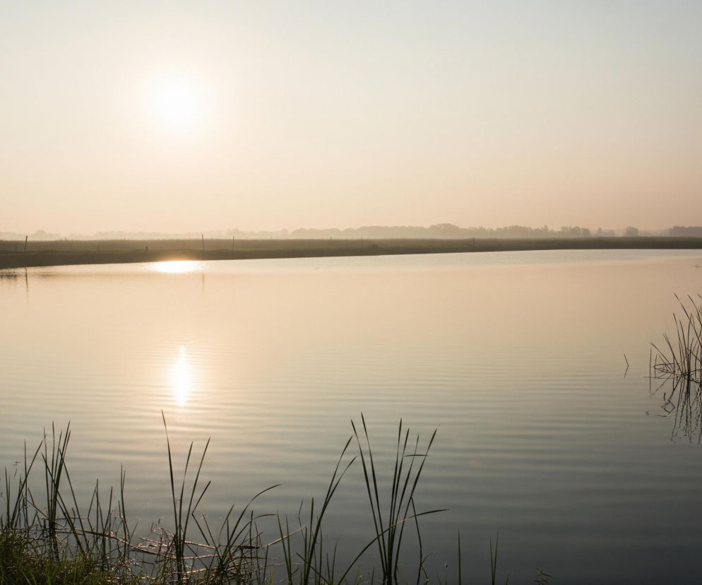 Widok przedstawia rozległy akwen wodny, w którego centrum odbija się jasne światło słońca, tworząc złotą smugę na powierzchni. Po obu stronach, bliżej krawędzi kadru, z wody wyłaniają się kępy długich, zielonych traw i trzcin. Horyzont na tle bladego, lekko zamglonego nieba, które przechodzi od jasnego błękitu na górze do delikatnego pomarańczu bliżej słońca, ukazuje zarys odległego, ciemniejszego pasma roślinności.