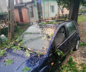 Drzewo przygniotło auto! Gdzie są burze w Płocku i okolicach?