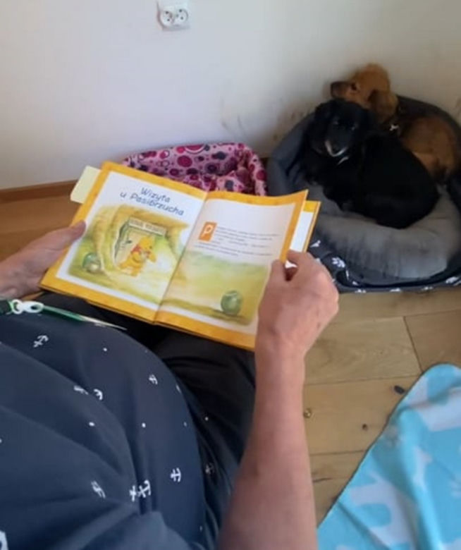 Psy słuchają Kubusia Puchatka, żeby przyzwyczaiły się do głosu człowieka