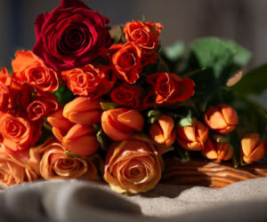 Róże i tulipany razem w bukiecie? Jakich kwiatów nie łączyć w wazonie?