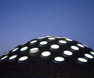 Budynek California Academy of Science: połączenie przyrody z architekturą