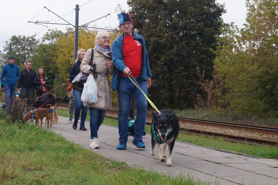 Parada Psów Adoptowanych w Bydgoszczy 2022 [ZDJĘCIA]