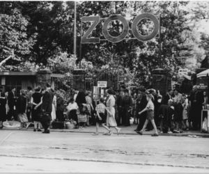 Zoo we Wrocławiu ma już 155 lat