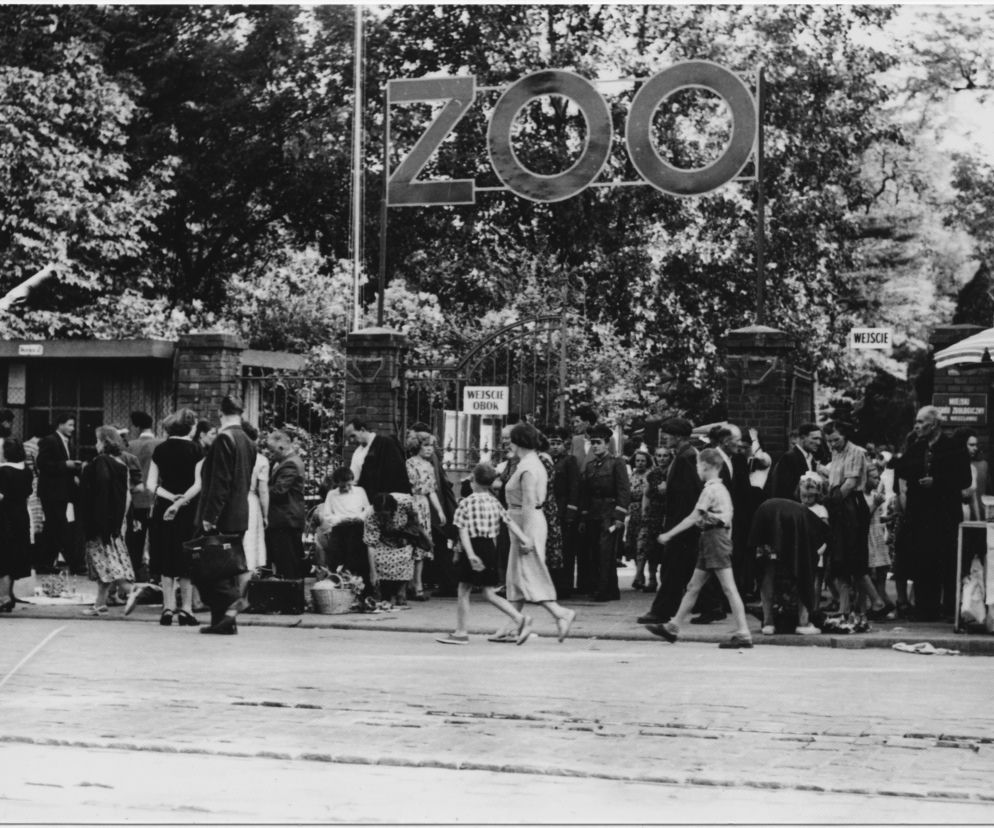 Zoo we Wrocławiu ma już 155 lat