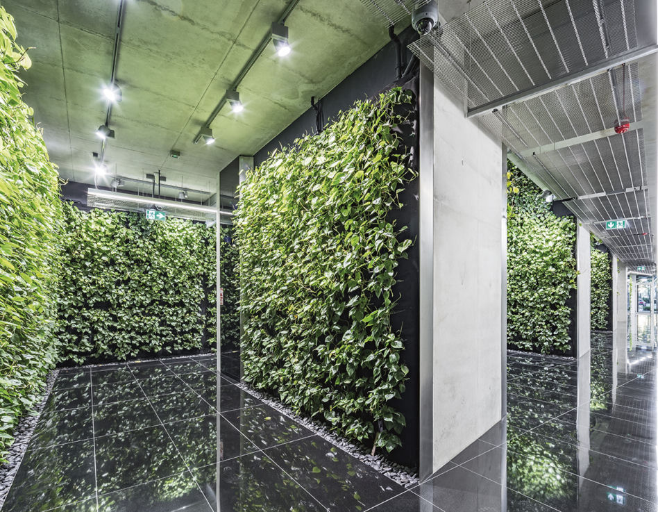 SZUCHA Premium Offices