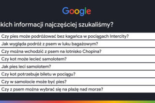 Jak podróżujemy w 2026 roku?