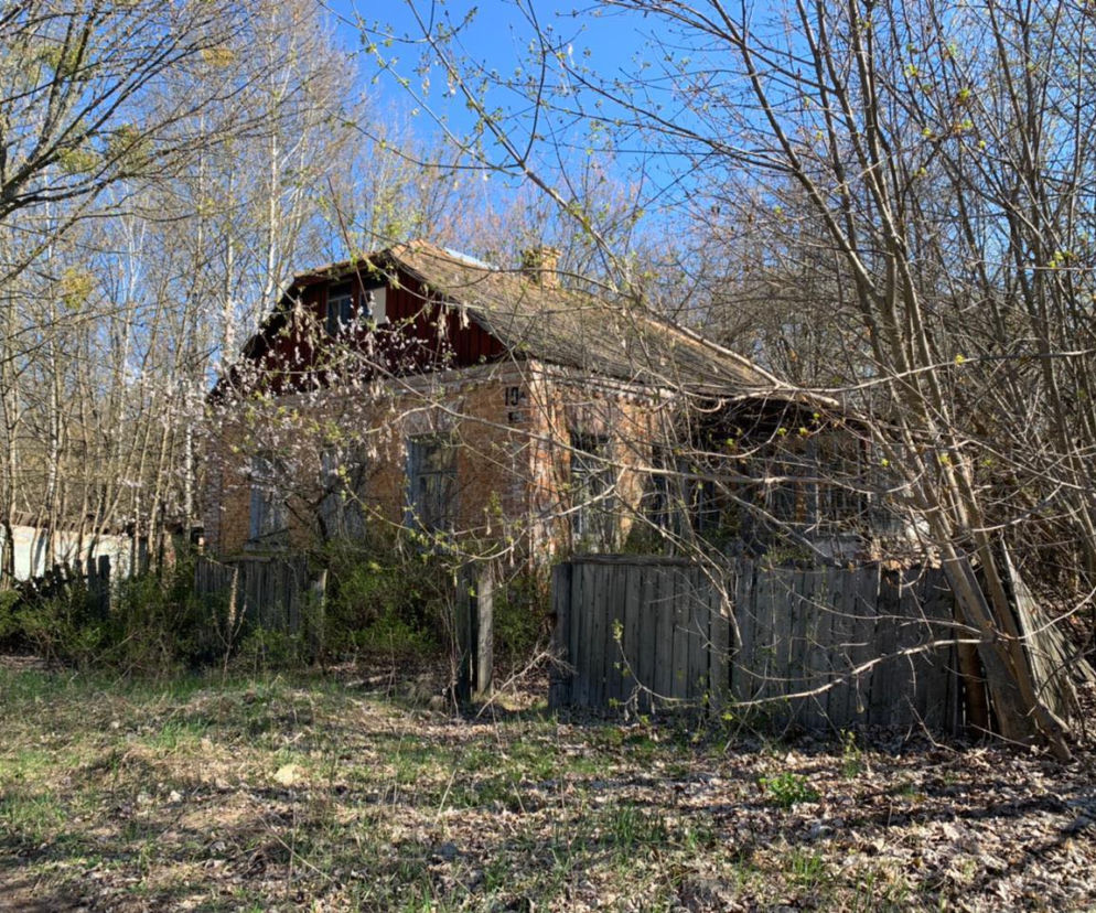Tak dzisiaj wygląda Czarnobyl! Zobacz niesamowite zdjęcia! 