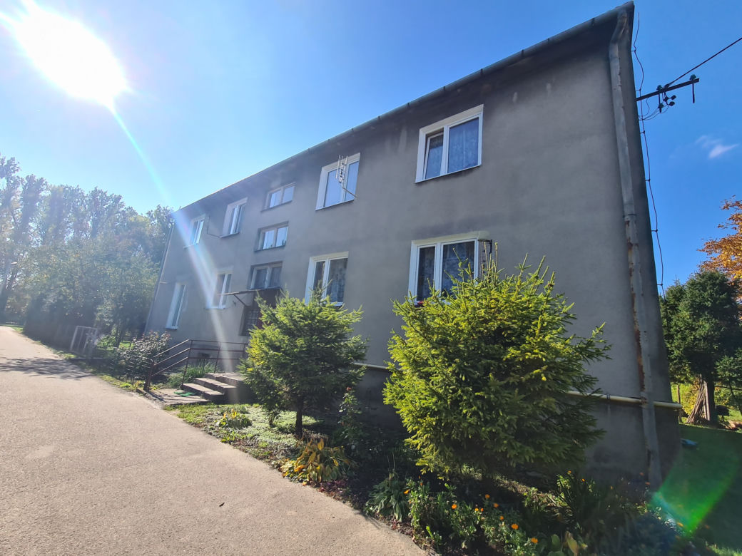 Oszustwo na "amerykańską żołnierkę" [GALERIA]
