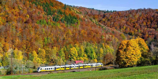 Koleje Dolnośląskie znowu łączą mniejsze miejscowości regionu