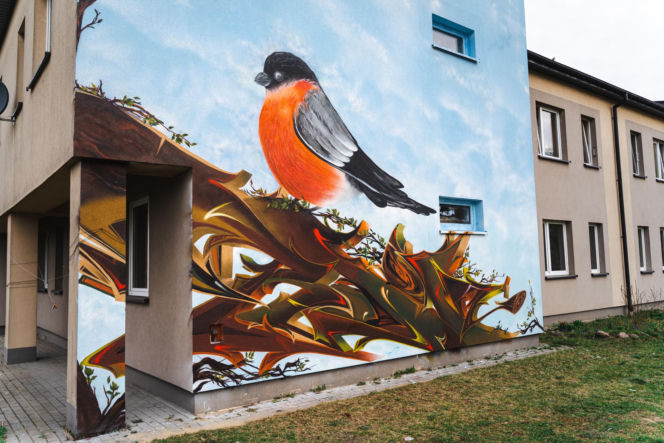 Przy ul. Mieszka I w Siedlcach można podziwiać całą galerię murali i graffiti