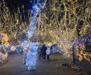 Bydgoski dom Griswoldów znów zachwyca. 300 tysięcy lampek robi niesamowity efekt