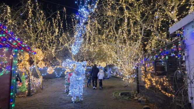Bydgoski dom Griswoldów znów zachwyca. 300 tysięcy lampek robi niesamowity efekt