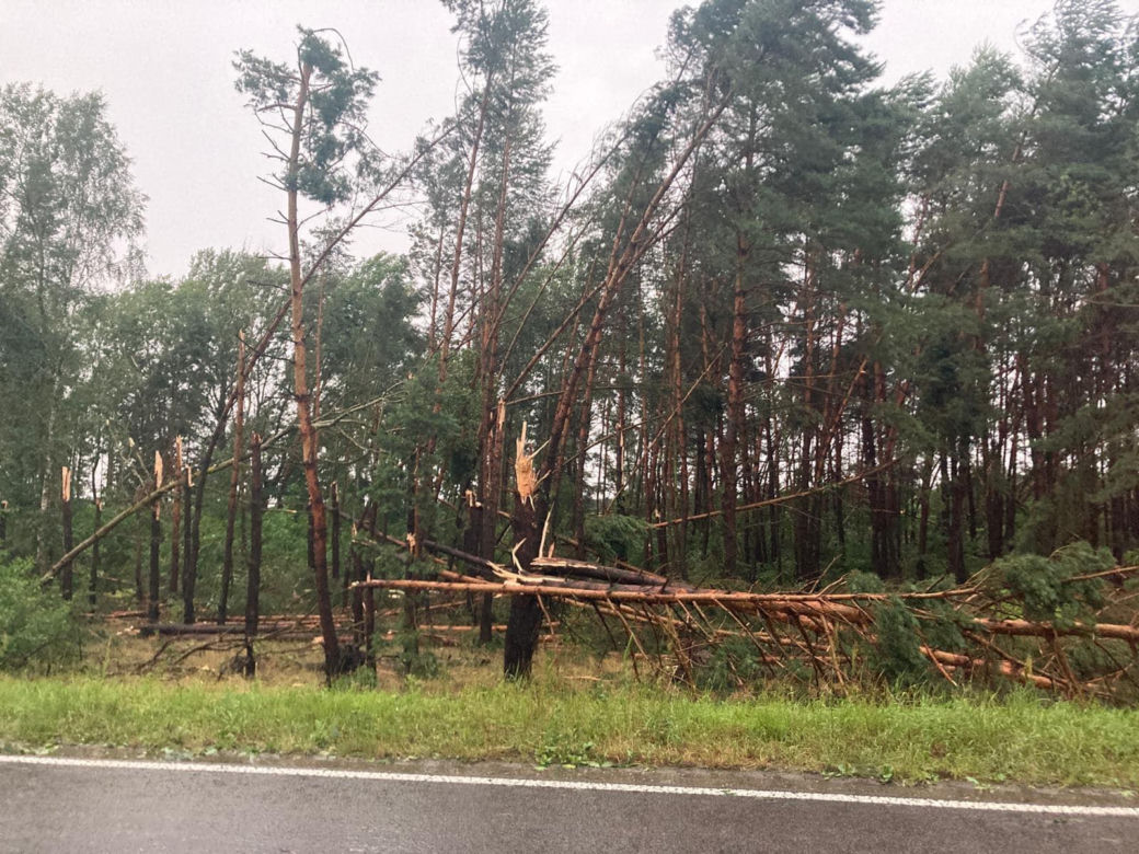Potężna nawałnica przeszła przez woj. lubelskie. Straty są ogromne, jedna osoba jest ranna [ZDJĘCIA]