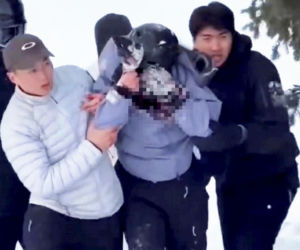 Horror przy stoku. Krew lała jej się z twarzy. Drapieżnik rzucił się na narciarkę