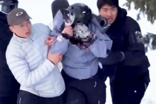 Horror przy stoku. Krew lała jej się z twarzy. Drapieżnik rzucił się na narciarkę