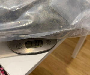 Miał iść za kratki, wpadł z towarem za 6 mln zł! Szokujące odkrycie w mieszkaniu