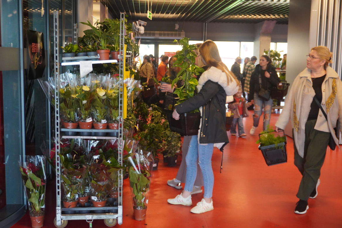 Festiwal Roślin 2025 w Białymstoku