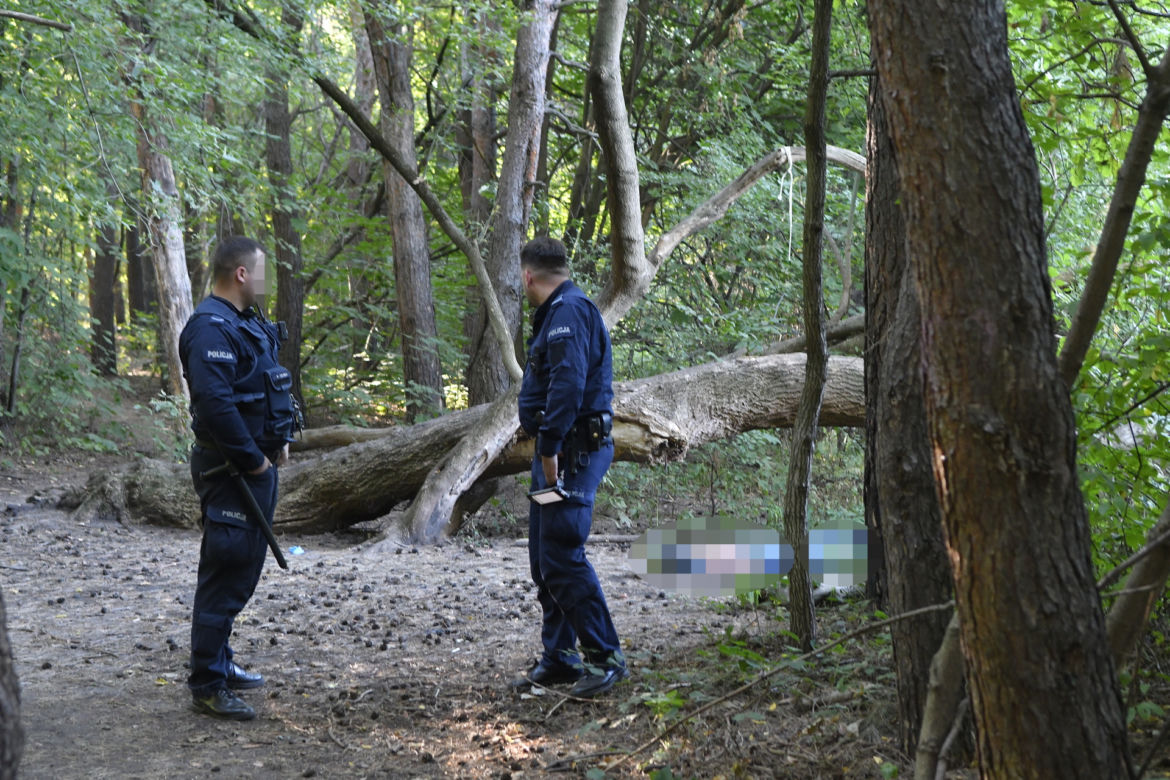 Makabryczne odkrycie na Pradze-Południe w Warszawie. Zwłoki mężczyzny wisiały na drzewie