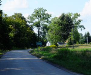 Wilk chciał mnie zagryźć