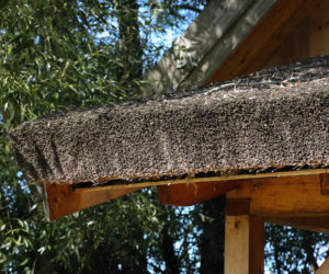 Strzecha nie wymaga rynien, ale wskazany jest szeroki okap