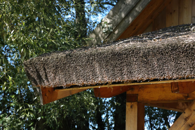 Strzecha nie wymaga rynien, ale wskazany jest szeroki okap