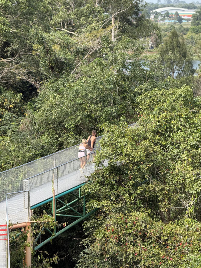 Hotel Paradise 12 - odcinek 30