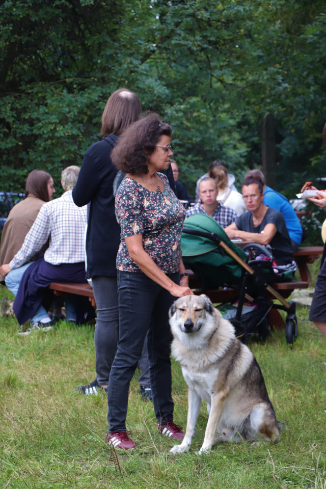 XIII Piknik Przyjaciół Schroniska w Toruniu. Fotorelacja z imprezy