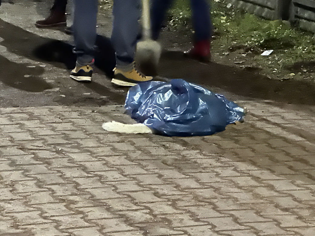 Wypadek w Błoniu. Wyszła na spacer z psem, wjechał w nią fiat. Tragiczny finał