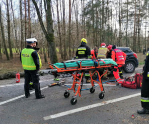 Przasnysz. Auto z kobietą i dzieckiem uderzyło w drzewo! Później spadł na nie pień! [ZDJĘCIA]