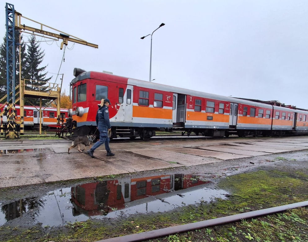 Czworonożni agenci w pociągach. Służby trenowały na bocznicy w Iławie
