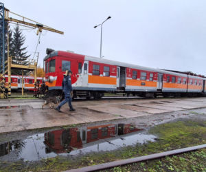 Czworonożni agenci w pociągach. Służby trenowały na bocznicy w Iławie