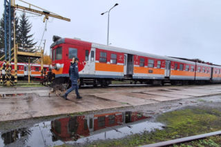 Czworonożni agenci w pociągach. Służby trenowały na bocznicy w Iławie