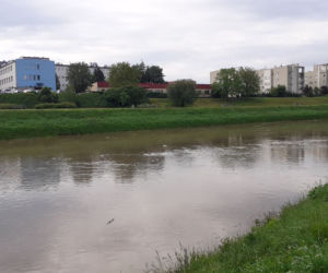 Wysoka woda na Wisłoku