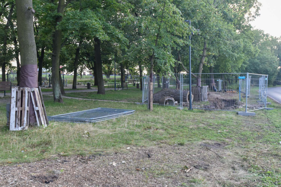 Park Glazja w Toruniu. Co dalej z zielonymi terenami?