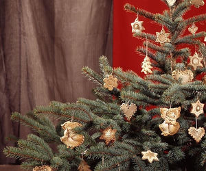 Świąteczne choinki w stylu rustykalnym