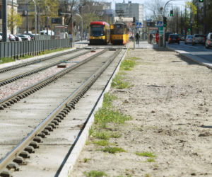 Miała być trawa a jest szary beton