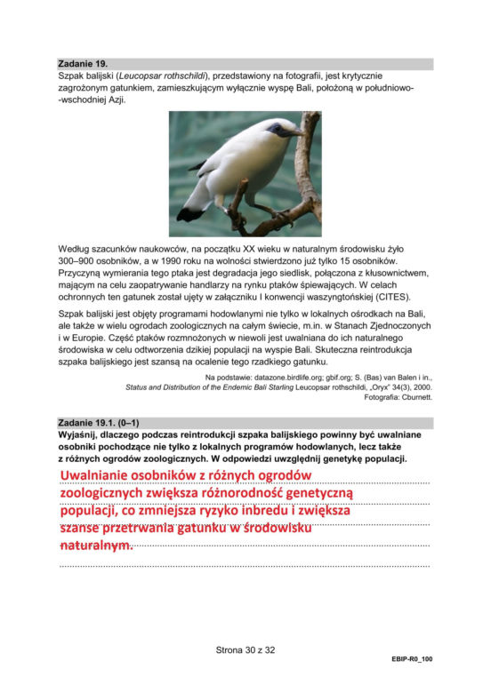 Matura 2025: biologia 9.05.2025. Arkusze CKE i odpowiedzi [Formuła 2015]