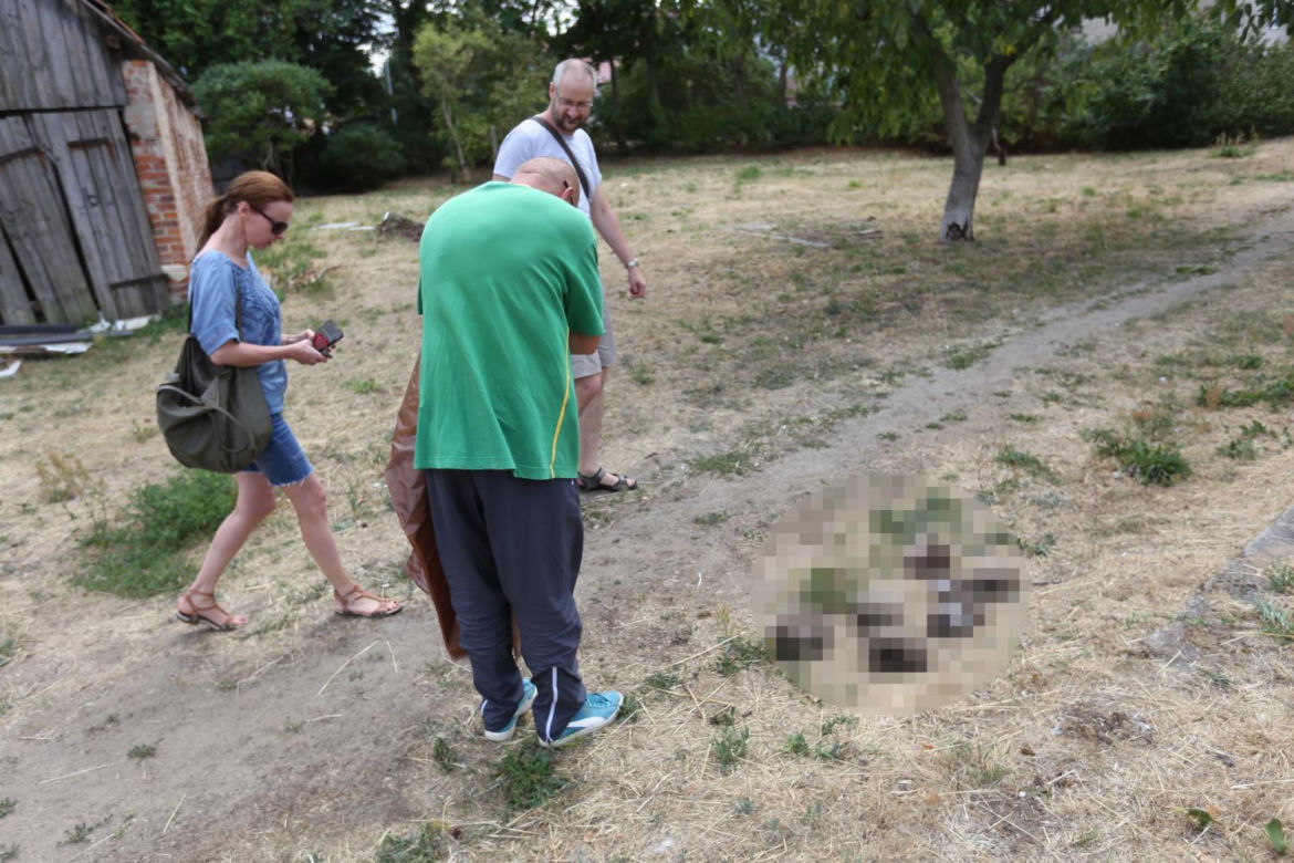 Zielona Góra. Seryjny morderca jeży Przemysław P. znowu zatrzymany przez policję