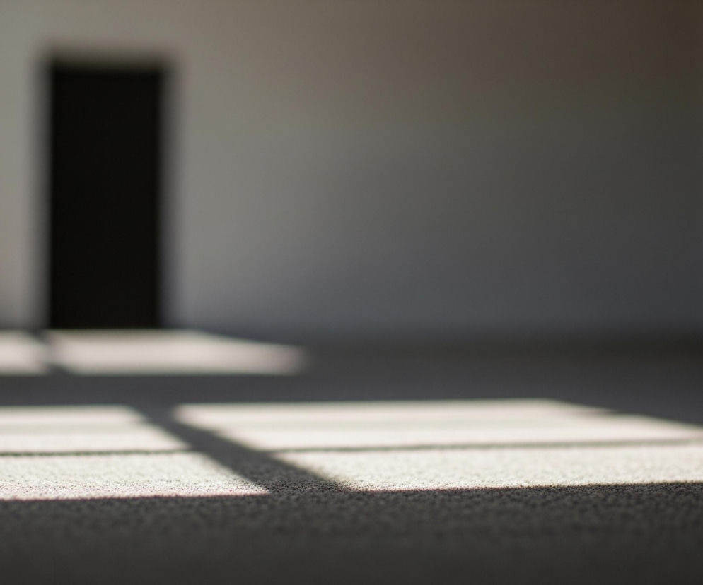 Podłoga pokryta jest dywanem o drobnej teksturze w odcieniach szarości, na którą padają wyraźne, prostokątne pasy jasnego światła. W tle, na nieostrej, jasnoszarej ścianie, znajduje się ciemny, pionowy prostokąt. Z lewej strony widać również rozmazane, jasne pionowe pasmo, prawdopodobnie światło wpadające z zewnątrz. Całość kompozycji skupia uwagę na grze światła i cienia, z płytką głębią ostrości na pierwszym planie.