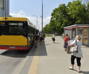 Piekło pod wiatami przystankowymi