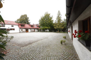 Stadnina koni